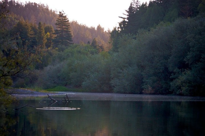 Schoolhouse Canyon Campground - Guerneville, CA - RV Parks