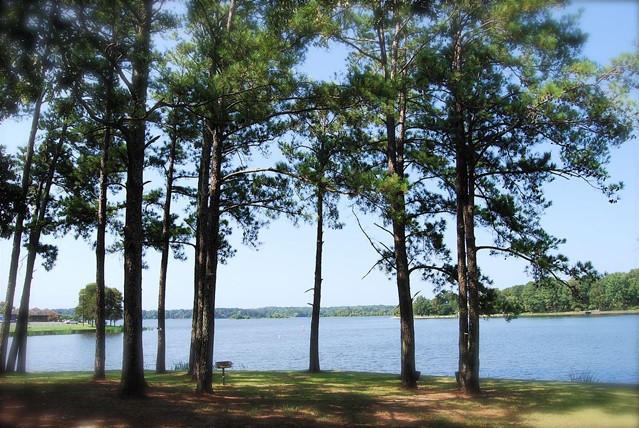 Escape to the Bayou: Your Guide to Nakatosh State Park Campground