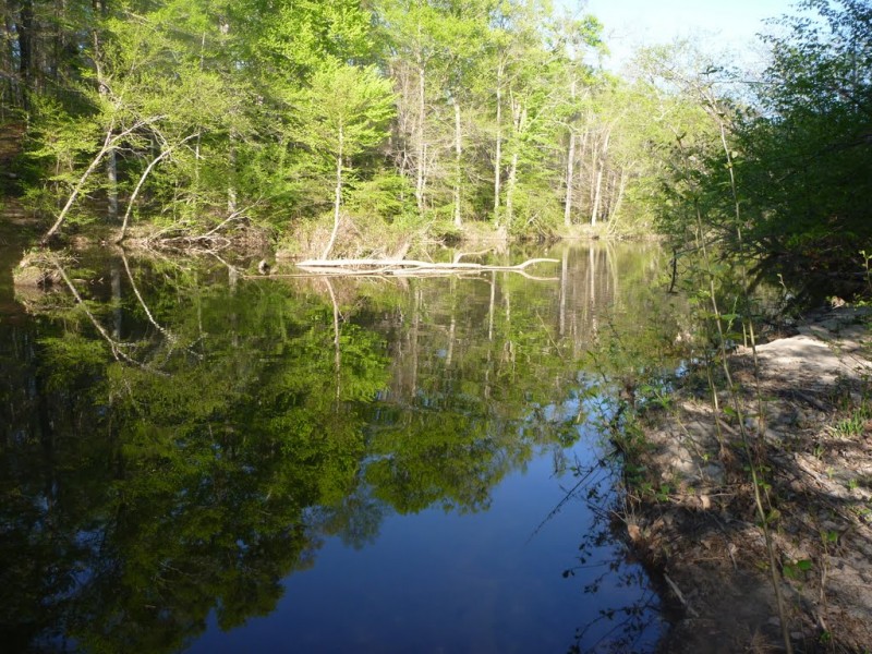 Camptown Campground Petersburg, VA RV Parks