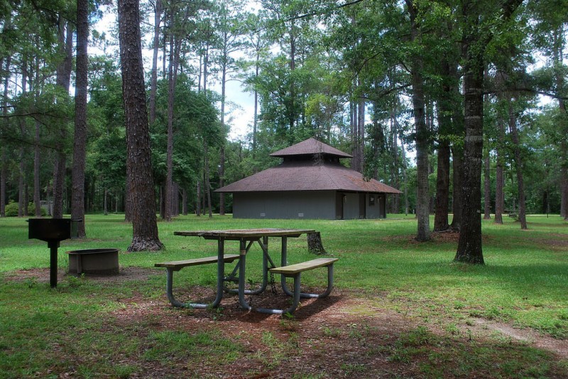 Wright Lake Campground Apalachicola National Forest Bristol, FL