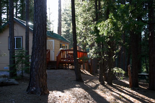 Lake Siskiyou Camp Resort - Mt Shasta, CA - RV Parks