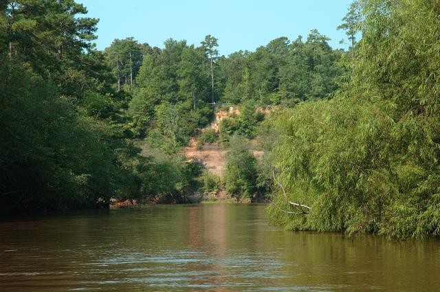 Cliffs of the Neuse State Park - Seven Springs, NC - North Carolina ...