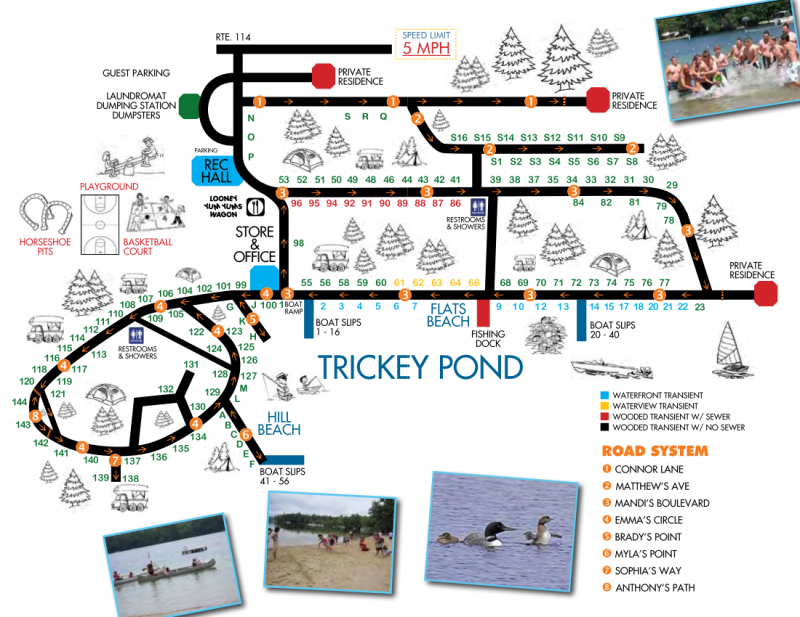 Loons Haven Family Campground Naples, ME RV Parks