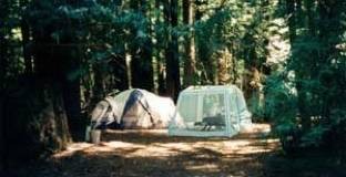 Schoolhouse Canyon Campground - Guerneville, CA - RV Parks