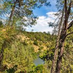 Russian River RV Campground - Cloverdale, CA - Thousand Trails Resorts
