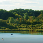 Camp Bullfrog Lake - Willow Springs, IL - County / City Parks