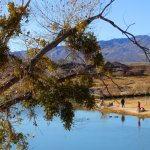 Escondida Lake and Park - Socorro, NM - County / City Parks