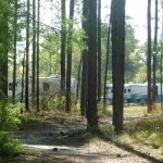 Tanager Woods RV Campground - Dorchester, SC - RV Parks