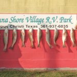 Laguna Shore Village RV Park - Corpus Christi, TX - RV Parks
