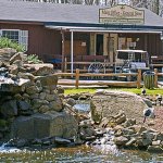 Colonial Woods Family Camping Resort - Upper Black Eddy, PA - RV Parks