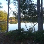 Mcintosh Lake RV Park - Townsend, GA - RV Parks
