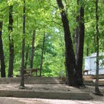 Tall Pines Campgrounds - Branson, MO - RV Parks