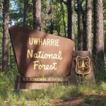 Badin Lake Campground Uwharrie National Forest - Troy, NC - National Parks
