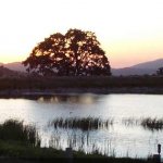 Indian Hill Ranch Campground - Tehachapi, CA - RV Parks