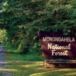 Monongahela National Forest - Elkins, WV - National Parks