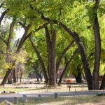 Belle Fourche River Campground - Devils Tower, WY - RV Parks