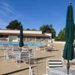 Greenfield Village Resort - Mesa, AZ - RV Parks