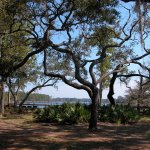 Ochlockonee River State Park - Sopchoppy, FL - Florida State Parks