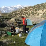 Lundy Canyon Campground - Lee Vining, CA - County / City Parks