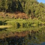 Hilgard Junction State Park - La Grande, OR - Oregon State Parks