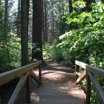 Calaveras Big Trees State Park - Arnold, CA - California State Parks