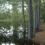 Lazy Acres Campground - Fayetteville, NC - RV Parks