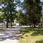 Motor Inn Trailer Park - Bethel Heights, AR - RV Parks