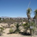 San Pedro Resort Community - Benson, AZ - RV Parks