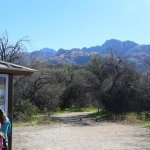 Catalina State Park  - Tucson, AZ - Arizona State Parks