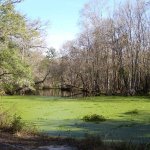 Natural Bridge Battlefield Historic State Park - Tallahassee, FL - Florida State Parks