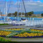 Grand Marina - Alameda, CA - RV Parks