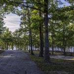 Point Return Campground - Bull Shoals, AR - County / City Parks
