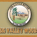 Big Valley Woods  - Boring, OR - RV Parks