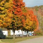Clute Park and Campground - Watkins Glen, NY - County / City Parks
