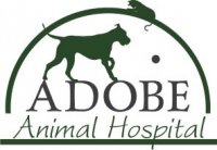 Adobe Animal Hospital - Petaluma, CA - Professional