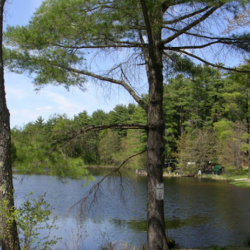 Peaceful Pines Family Campground - Templeton, MA - RV Parks