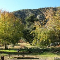 Coldbrook Campground Angeles National Forest  - Arcadia, CA - National Parks