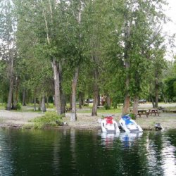 Cottonwood Cove Resort - Lee Creek, BC - RV Parks