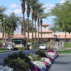 Palm Springs Oasis Rv Resort - Cathedral City, CA - RV Parks