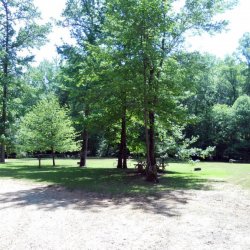 Jenny's Creek Campground - Cleveland, GA - RV Parks