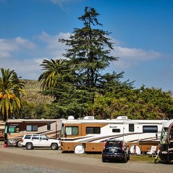 Pio Pico RV Resort & Campground  - Jamul, CA - Thousand Trails Resorts
