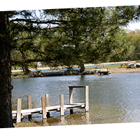 Wilderness Campgrounds - Dundee, MI - RV Parks