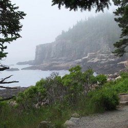 Bass Harbor Campground - Bass Harbor, ME - RV Parks