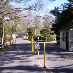 Tall Pines Campground Resort - Lewes, DE - RV Parks
