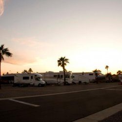 Desert Shadows RV Resort - Phoenix, AZ - RV Parks