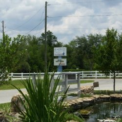 Quail Roost Rv Campground - Crystal River, FL - RV Parks