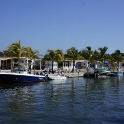 Calusa Campground Resort & Marina - Key Largo, FL - RV Parks