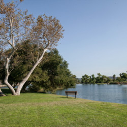 Santee Lakes Recreation Preserve - Santee, CA - RV Parks
