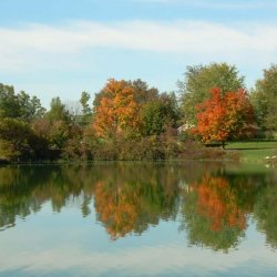 Shawnee Lake Park - Spencer, OH - RV Parks
