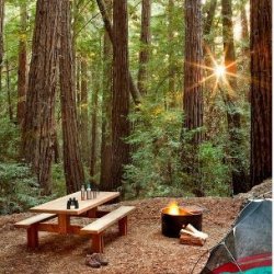 Ventana Campground - Big Sur, CA - RV Parks